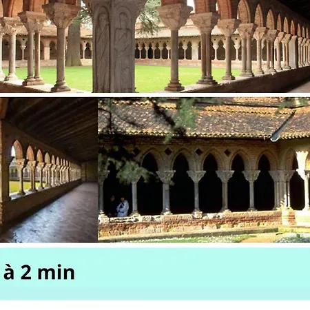 L'ile Aux Oiseaux Appartamento Moissac