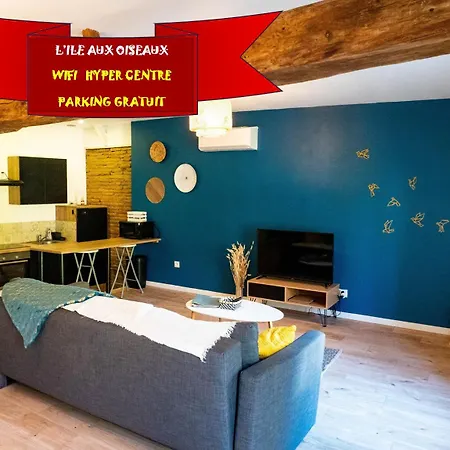 L'ile Aux Oiseaux Apartment Moissac